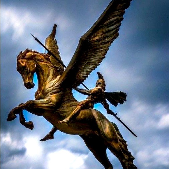 Meet your Posher, Beau2138 - Picture 1 of 1